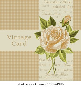 Vector illustration of a beautiful roses on vintage background for invitations and birthday cards.