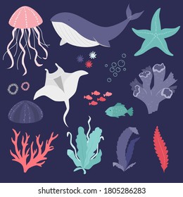 Vector illustration - beautiful, sea creatures. Icon collection.