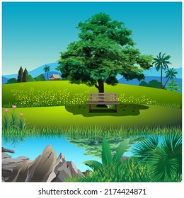 Vector illustration of a beautiful serene forest view.