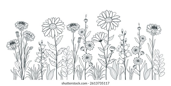 Vector illustration of beautiful silhouettes of flowers and plants in flat style. Cartoon scene of field, meadow flowers and herbs: daisies, cornflowers, bluebells, chicory isolated on a white