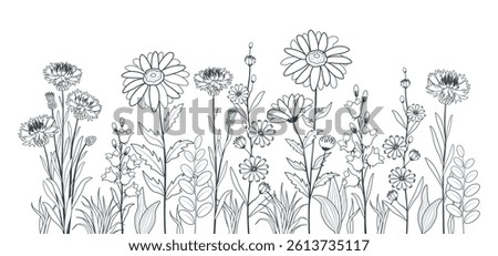 Vector illustration of beautiful silhouettes of flowers and plants in flat style. Cartoon scene of field, meadow flowers and herbs: daisies, cornflowers, bluebells, chicory isolated on a white