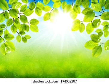 Vector illustration of a beautiful solar summer day