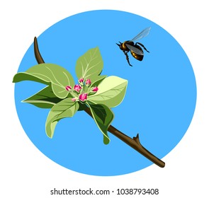 Vector illustration of beautiful spring flowers with a bee.
