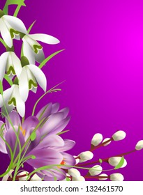 Vector illustration of of beautiful spring flowers