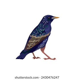 Vektor-Illustration von schönen Starling Vogel steht auf einem weißen Hintergrund