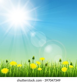 Vector illustration of beautiful summer meadow