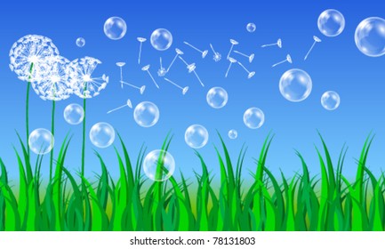 Vector illustration of beautiful summer meadow with dandelions and bubbles