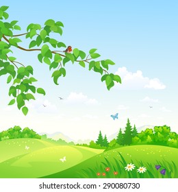 Vector illustration of a beautiful summer rolling landscape with a branch