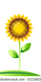 Vector illustration of beautiful sunflower. Summer landscape
