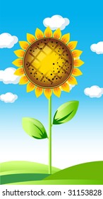 Vector illustration of beautiful sunflower. Summer landscape