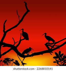 Vector illustration of beautiful sunset view with bird and tree. silhouette  of three crane birds sitting on tree branch, turkey red, chili red, mikado yellow color gradient on background. wallpaper.