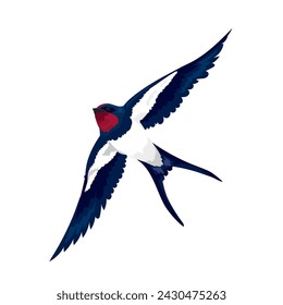 Vector illustration of beautiful swallow flies on white background