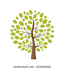 Vector illustration. Beautiful tree with green leaves isolated on white background. Spring, summer, ecology style
