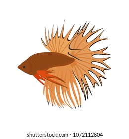 Vector illustration with beautiful tropical fish on white isolated background. Template for web design, album, poster.