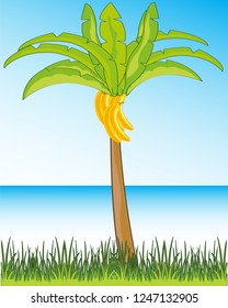 Vector illustration of the beautiful tropical landscape and palms with banana on background of the ocean