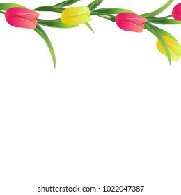 Vector illustration of beautiful tulips on the white background. Cute greeting card.Spring red,yellow flowers and green leaves. Greeting card for women`s day.