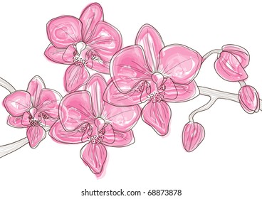 Vektorgrafik eines schönen Zweiges aus rosafarbenem Orchideen