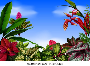 vector illustration of a beautiful view with and the flowers around it