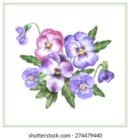 Vector illustration - beautiful watercolor bouquet with pink, purple and violet pansy