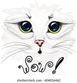 Vector illustration of a beautiful white cat.  Big cat's eyes close-up. The lettering "wow!"