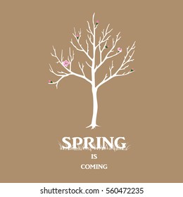 Vector illustration of beautiful white spring tree with pink flowers and grass on the coffee background.