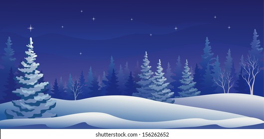 Vector illustration beautiful winter night forest