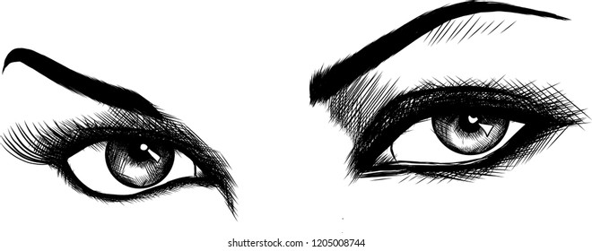 vector illustration Beautiful Women Eyes with make up
