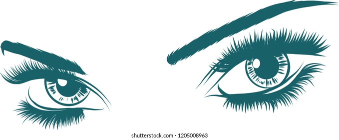 vector illustration Beautiful Women Eyes with make up