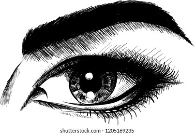 vector illustration Beautiful Women Eyes with make up