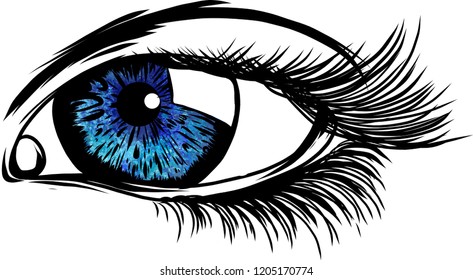 vector illustration Beautiful Women Eyes with make up