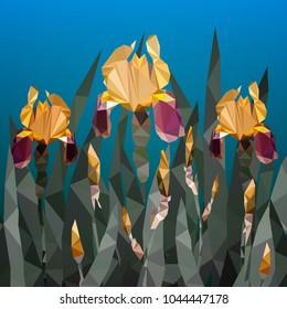 Vector illustration with beautiful yellow iris flower from triangles. Spring flowers. 10 eps