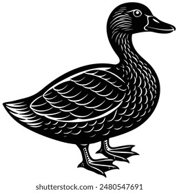 Vector illustration of a beautiful-duck