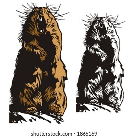 Vector illustration of a beaver.