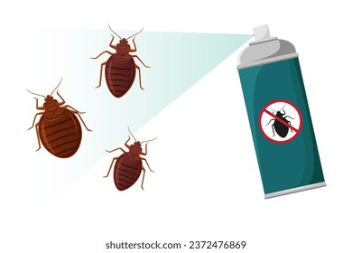 Vector illustration of bedbugs spray. Bed bug invasion