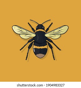 Vector illustration of a bee