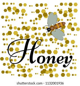 Vector illustration of Bee. Honey.