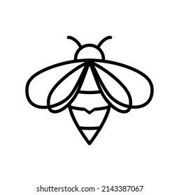 Vector illustration of bee icon in line style on white background.