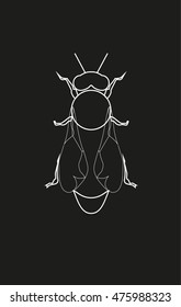 Vector illustration of bee, line icon