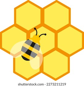 Vector illustration of bee on honeycomb. Manufacture of honey. Bees and beekeeping.