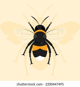 A vector illustration of a bee on a light background with a shadow