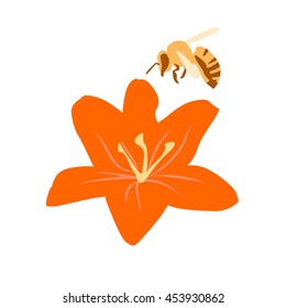 Vector illustration of a bee on a lily flower. icon