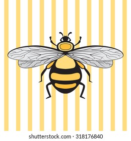 A vector illustration of a bee on a striped background.