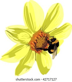Vector illustration of bee on the yellow flower