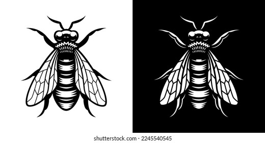 Vector illustration of a bee, this design can be used as a logo or for a honey label