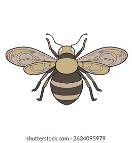 ilustração vetorial de abelha em aparências vintage