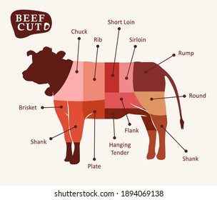 Vector Illustration of Beef Cut Area with Arrow Description