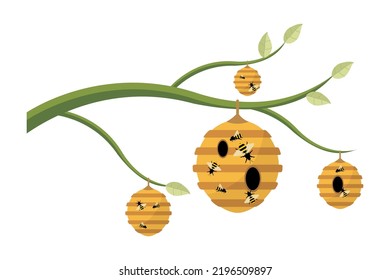Vector illustration of a beehive. Illustration of a beehive on a tree branch. A swarm of bees perched on the hive