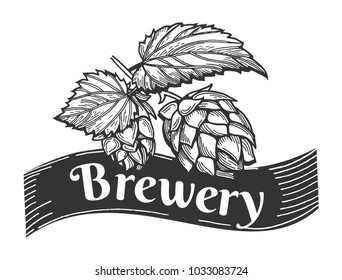 Vector illustration of a beer brewery emblem or label with hops. Hand drawn vintage engraving style.