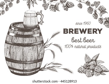 Vector illustration of beer. Raw material for brewing: branch of hops and barley. Pub menu. Beer set.