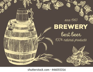 Vector illustration of beer. Raw material for brewing: branch of hops and barley. Pub menu. Beer set.